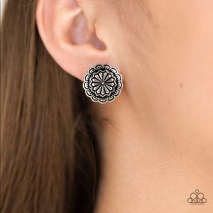 ❤️‍🔥5/$25❤️‍🔥 Durango Desert Silver Earrings